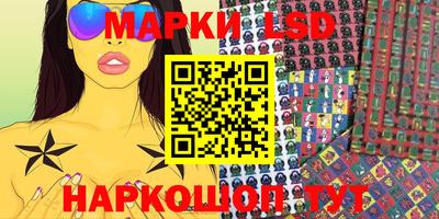 прущие грибы Кингисепп