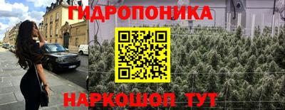 прущие грибы Кингисепп