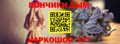 крисы Кинель