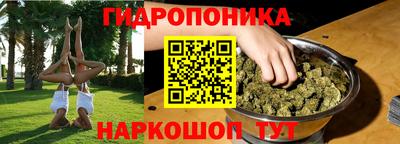 прущие грибы Кингисепп