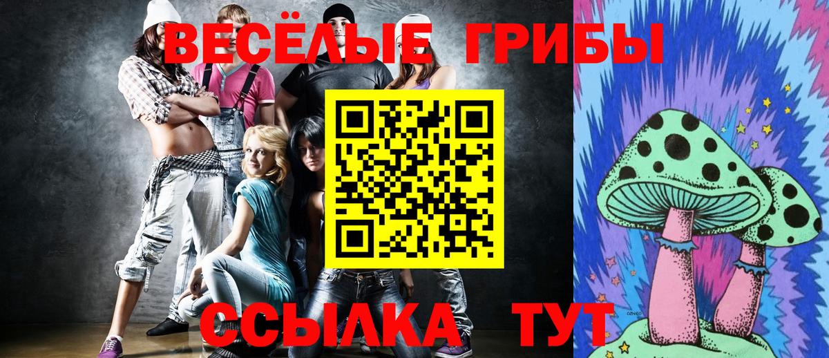 Липецк  Галлюциногенные грибы прущие грибы  Вход с VPN 