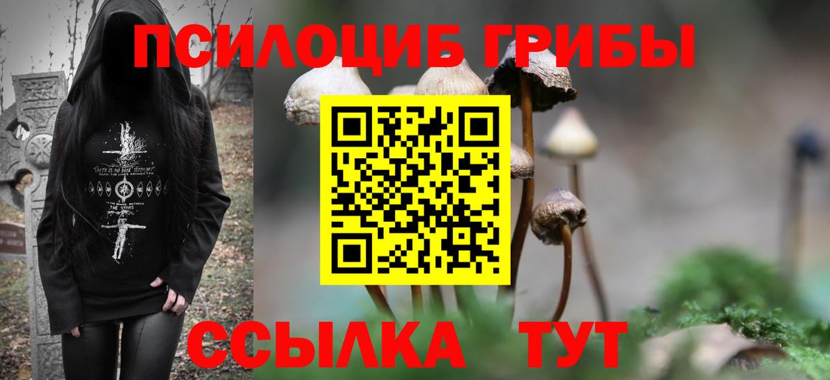 Бошки Шишки Липецк